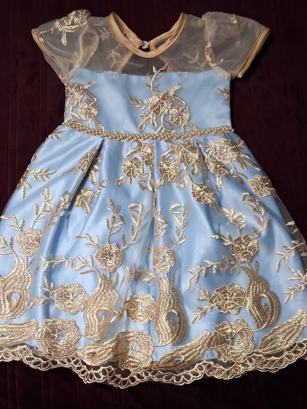 Blue & Gold Embroidered Tulle Party Dress for Girls